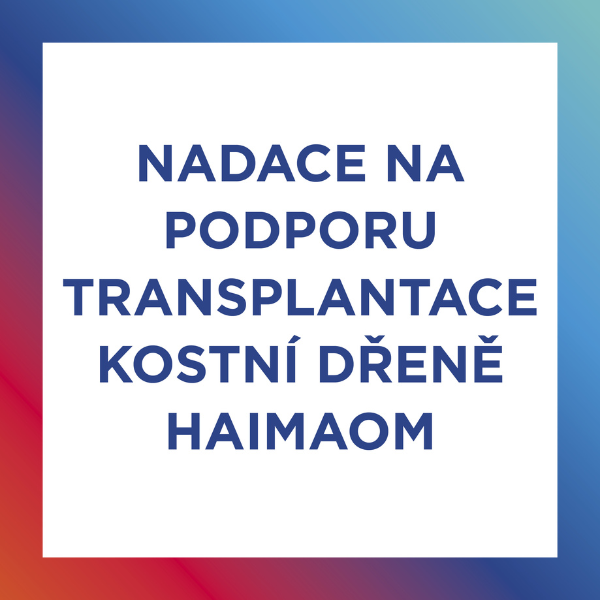 Nadace Haimaon