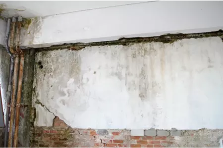 Jak se dlouhodobě zbavit plísně v bytě či domě?