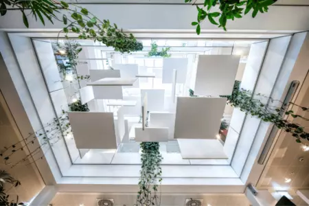 Institut pro vědu a technologii, Rakousko