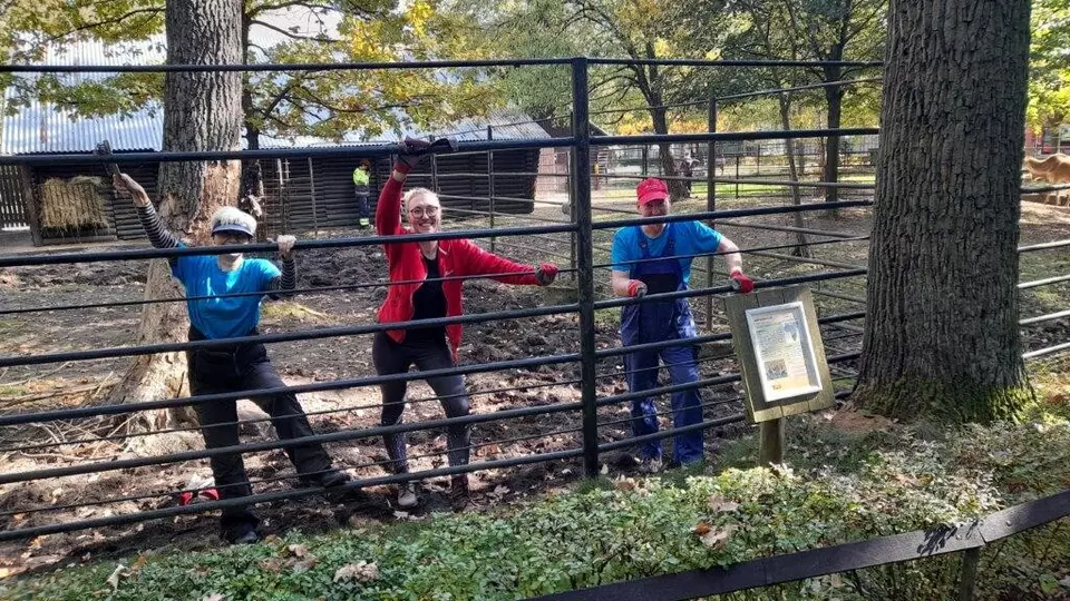 Dobrovolníci v Hodonické ZOO