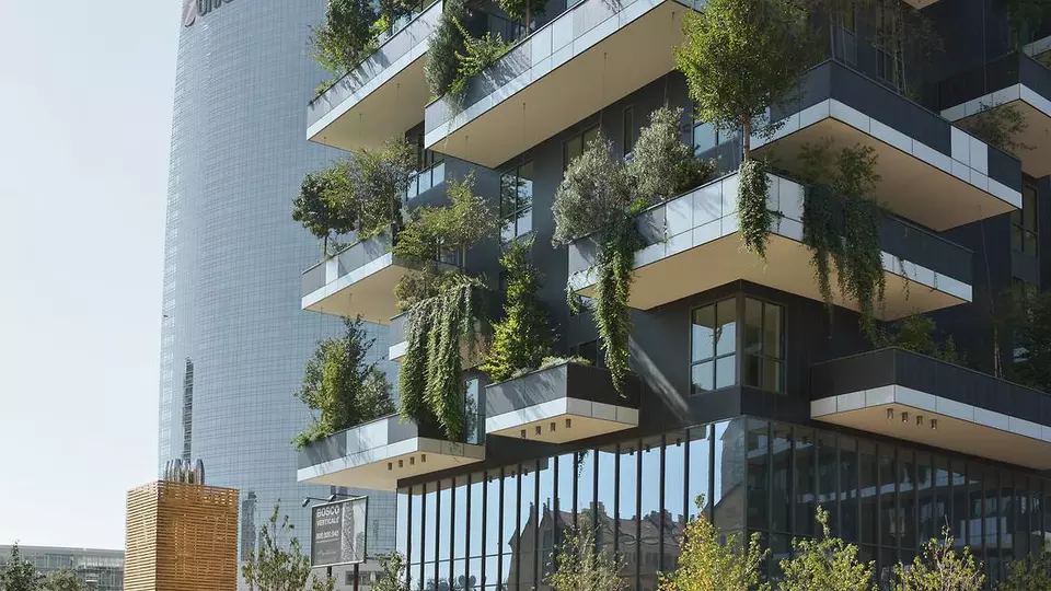 Reference: Bosco Milan