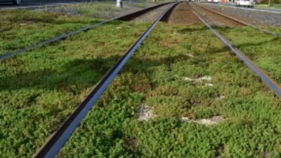ISOVER CZ uvádí… Ozelenění tramvajových pásů – tráva mezi kolejemi ISOVER CZ uvádí… Ozelenění tramvajových pásů – tráva mezi kolejemi