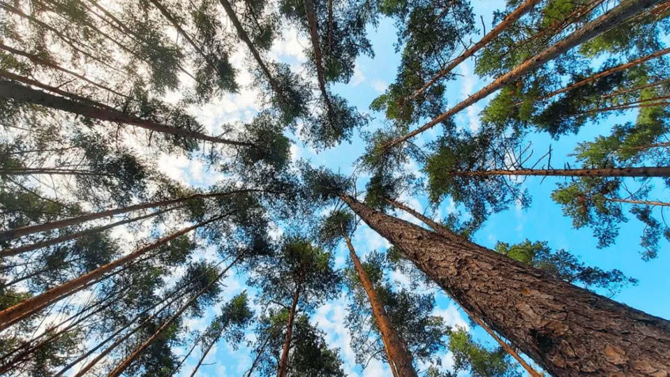 Saint-Gobain has committed itself to achieving carbon neutrality by 2050.
