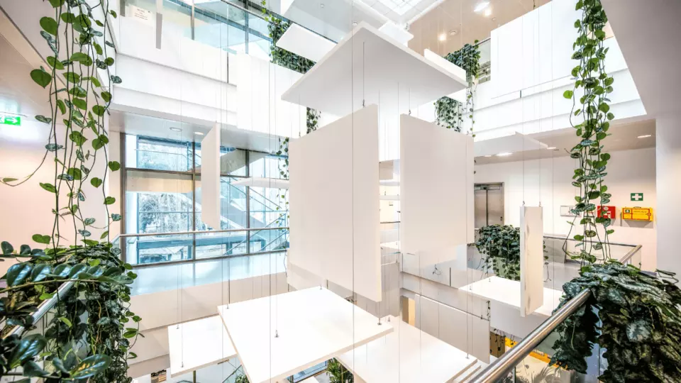 Institut pro vědu a technologii, Rakousko