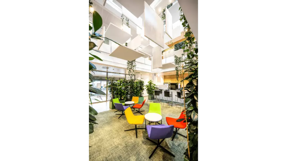 Institut pro vědu a technologii, Rakousko