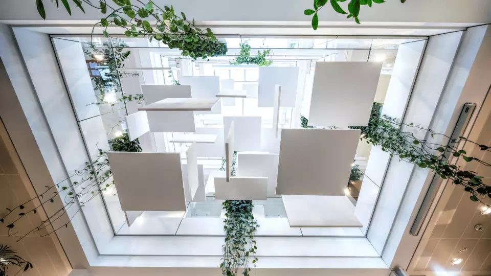 Institut pro vědu a technologii, Rakousko